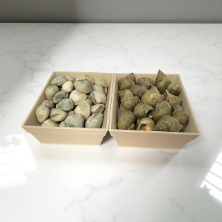 Caissette ostréicole 295 × 195 × 72 mm | JM3D