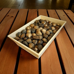 LOT DE 10 CAISSETTES OSTREICOLES 295x195x72mm